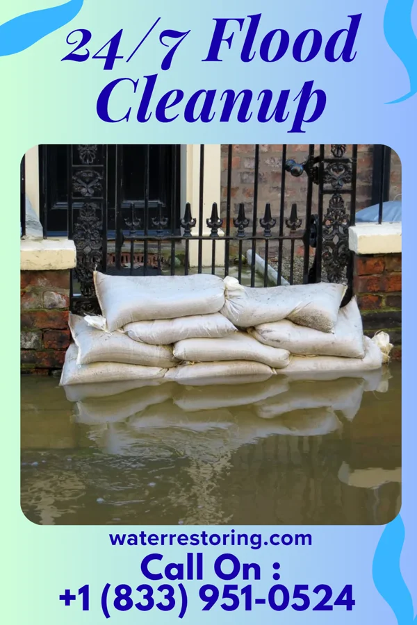 24/7 Flood Cleanup in June Park, FL
