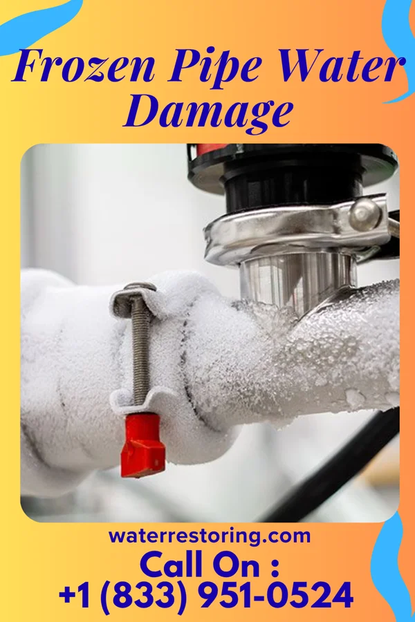 Frozen Pipe Water Damage in June Park, FL