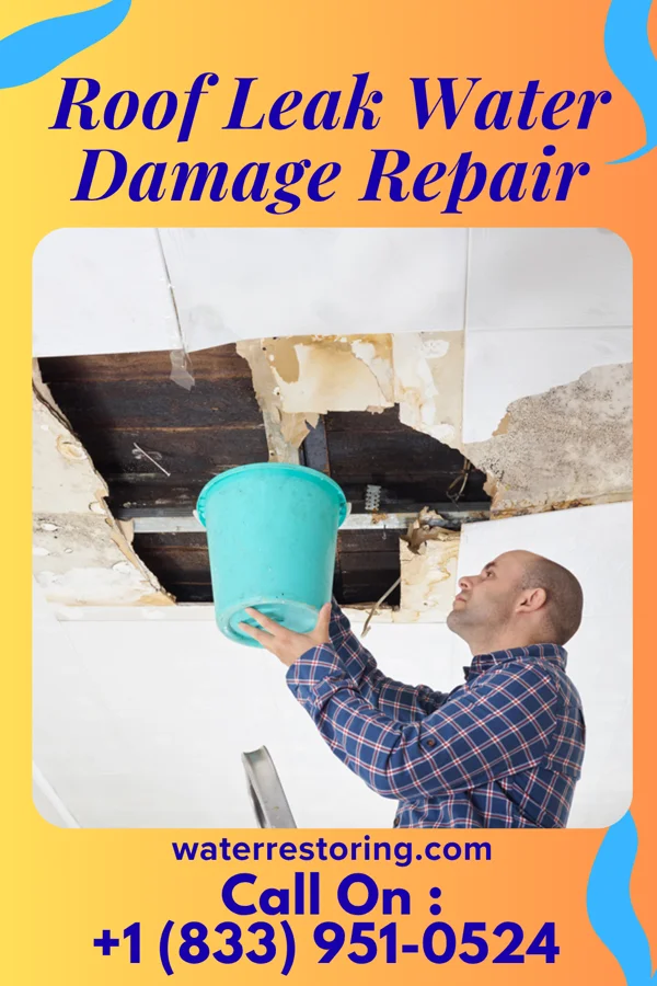 Roof Leak Water Damage Repair in June Park, FL