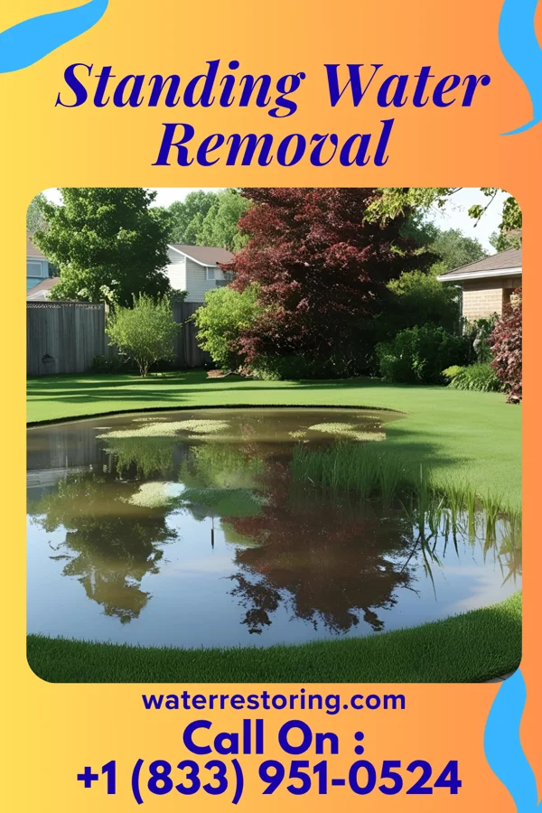 Standing Water Removal in June Park, FL